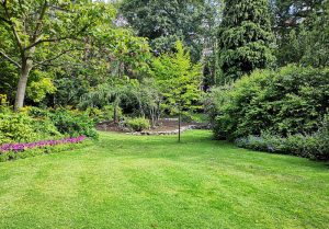Optimiser l'expérience du jardin à Diffembach-les-Hellimer